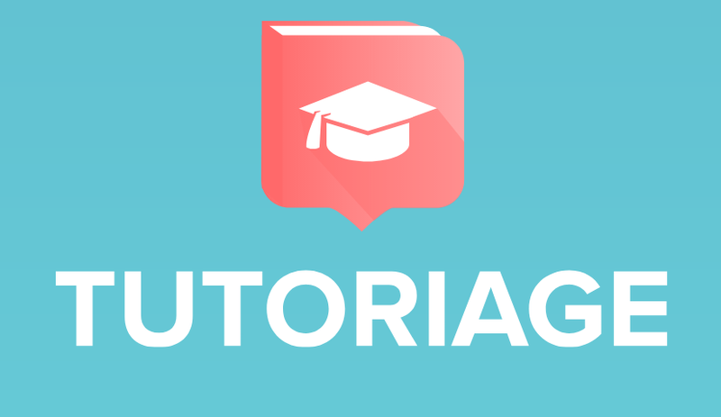 Illustration for article titled Custom Tutoriage essays